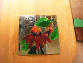 Coneflowers - The Middle
