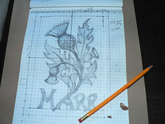 Thistle - 1st drawing