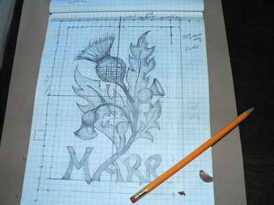 Thistle - 1st drawing