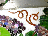 Working on Merlot